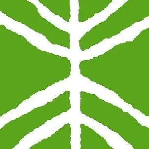 L'agave